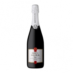 Quinta da Lixa Sparkling Bruto Red