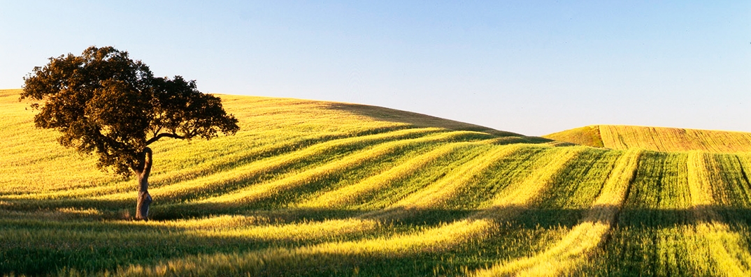 Alentejo 