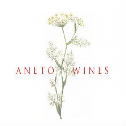 aneto wines