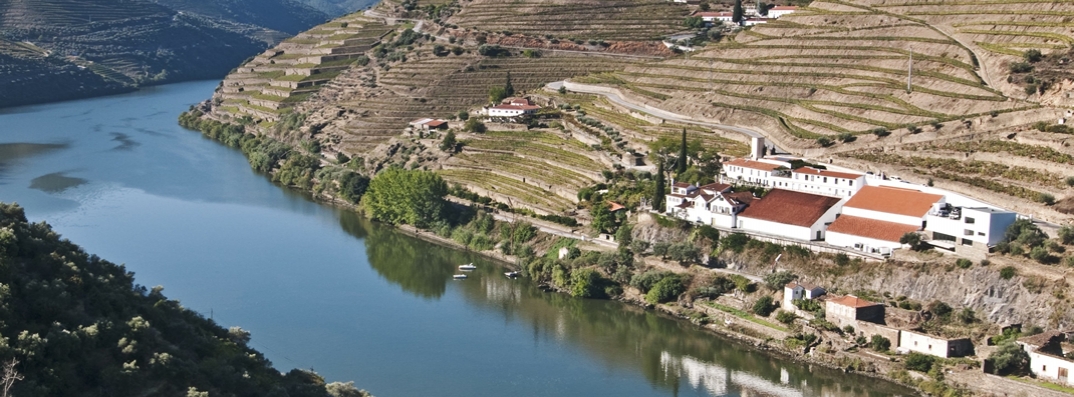 Quinta de La Rosa