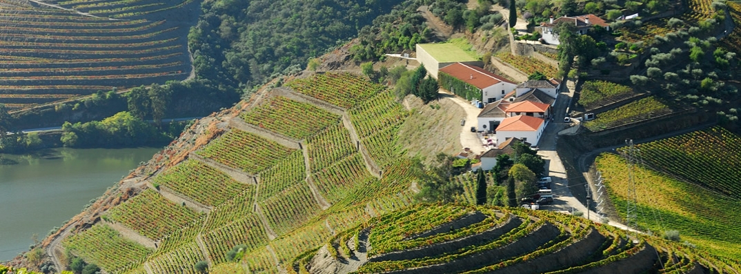 Quinta do Crasto