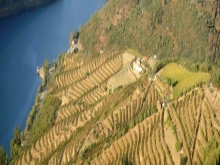 Quinta do Espinho