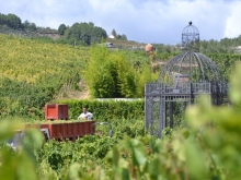 Quinta do Portal