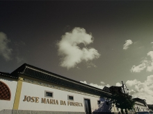 JMF  Jos Maria Fonseca