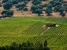 Herdade do Rocim