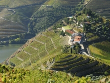 Quinta do Crasto