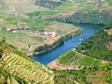 Quinta de La Rosa